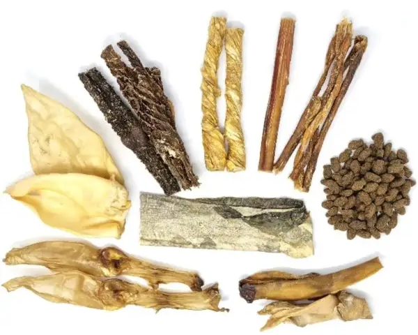 Pack mastication découverte