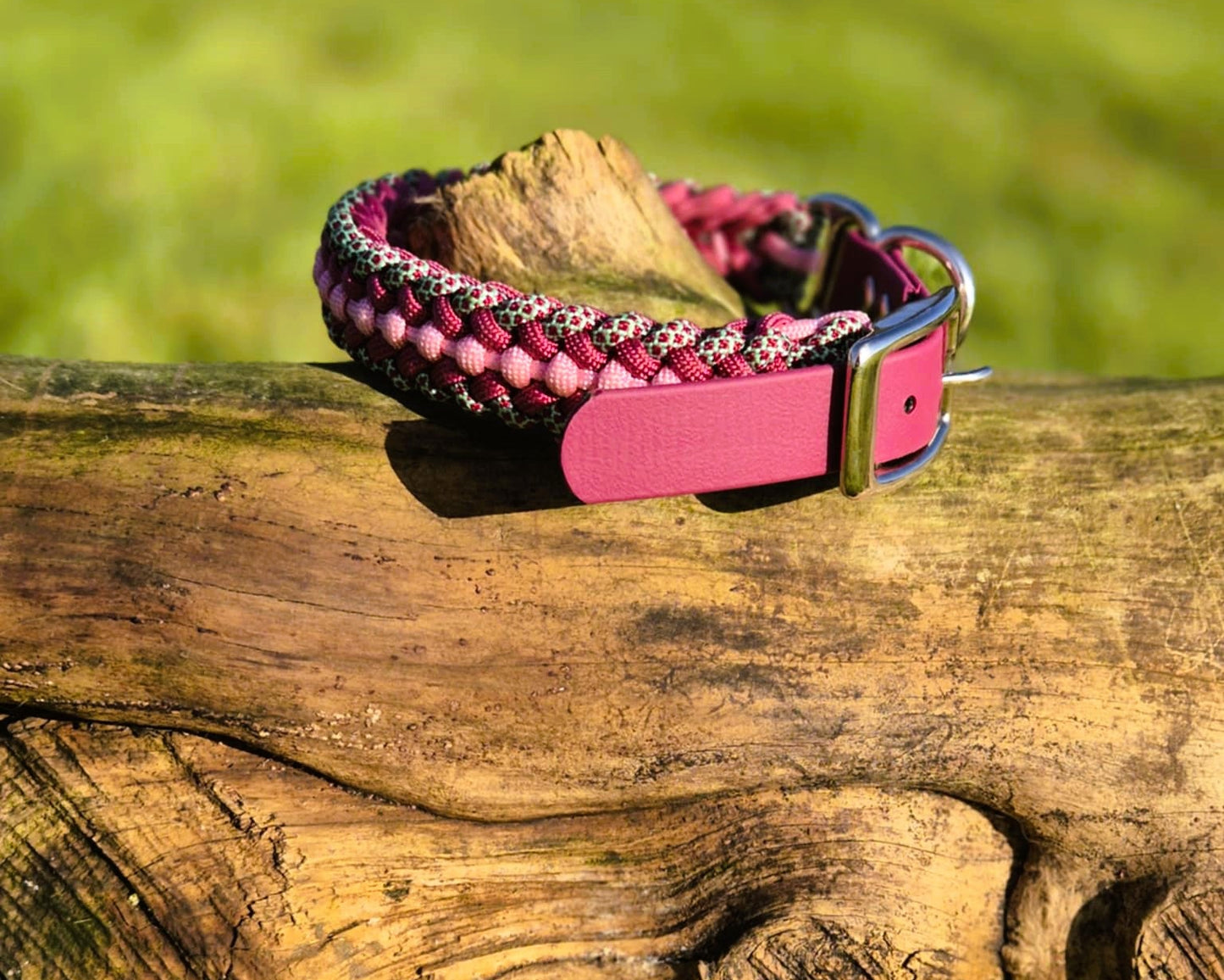 Collier pour chien en paracorde / Résistant et Personnalisable