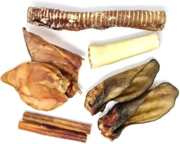 Pack mastication super résistante