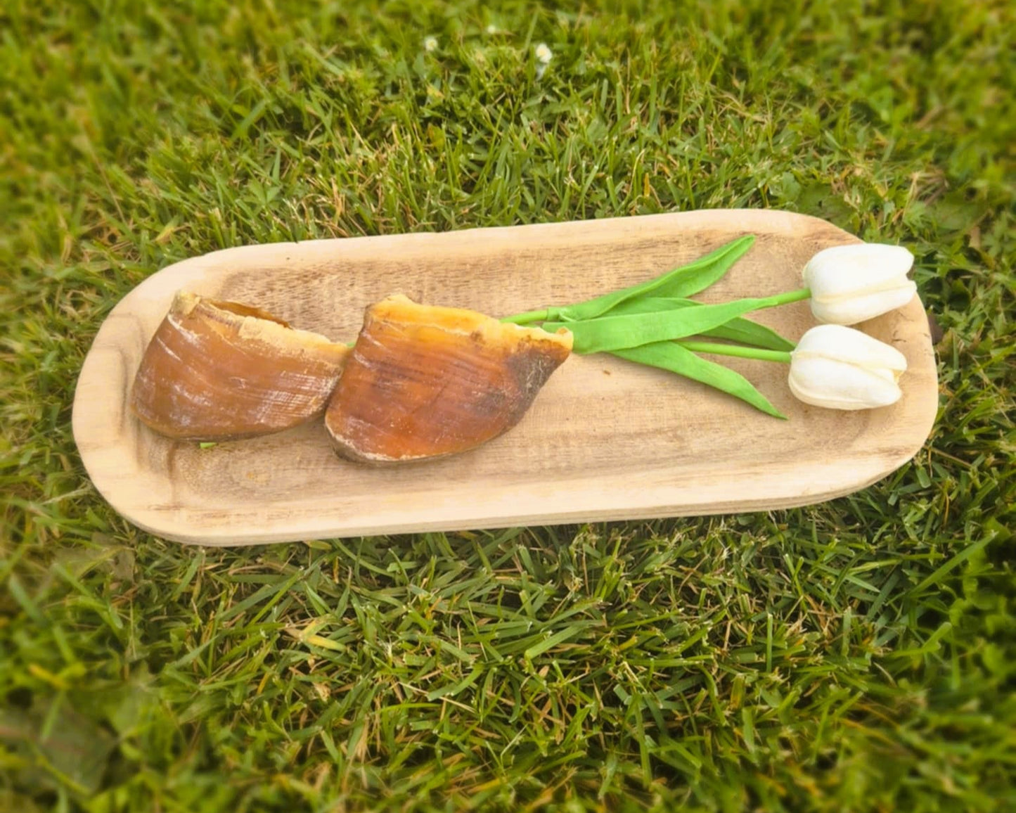 Sabot de boeuf