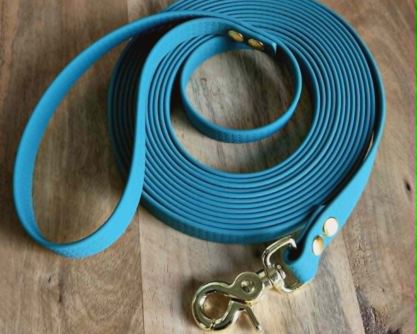 Longe chien 5 mètres en sangle enduite PVC (Hexa) - solide, imperméable & fabrication artisanale