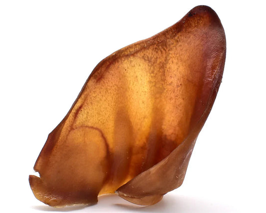 Oreille de porc