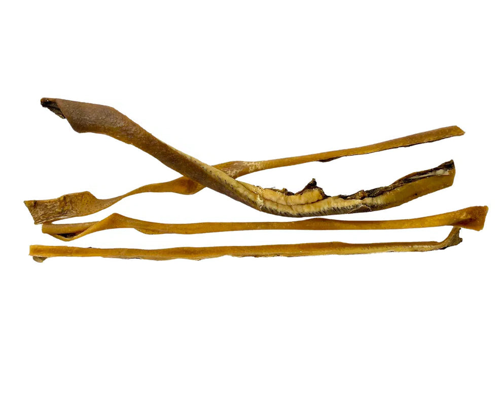 Peau de sanglier 50 cm