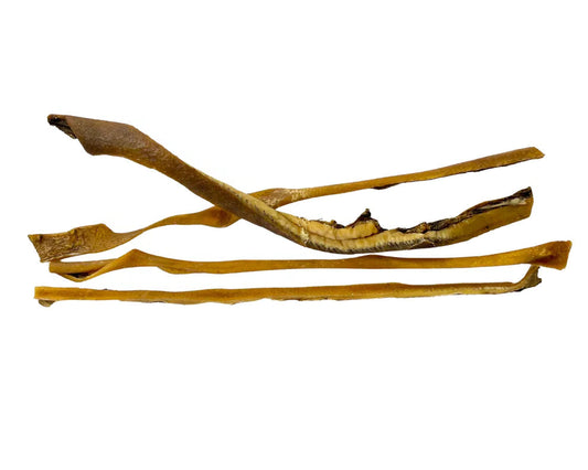 Peau de sanglier 50 cm
